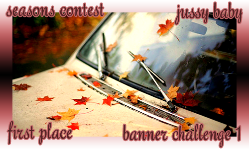 jussy_baby-banner-firstplace